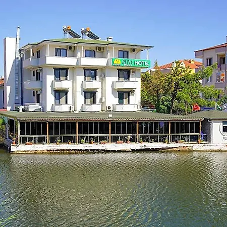 Hotel Olive Branch