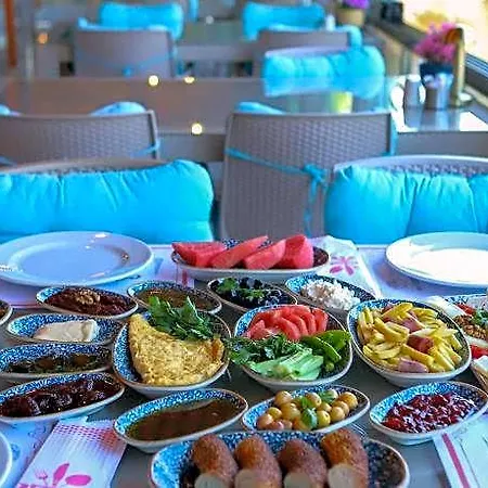 Olive Branch Kucukkoy (Balikesir)