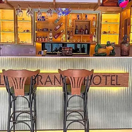 Olive Branch Kucukkoy (Balikesir)