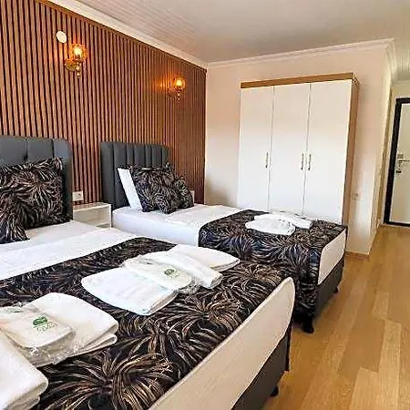 Hotel Olive Branch 3*