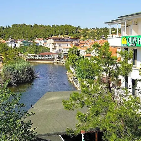 Olive Branch Hotel 3*