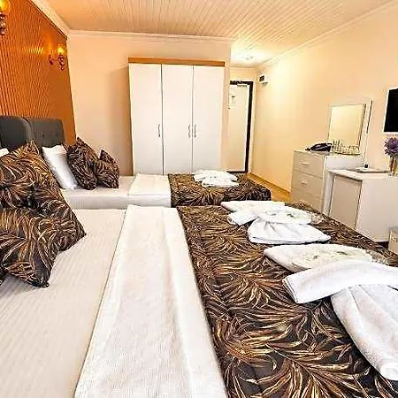 Hotel Olive Branch