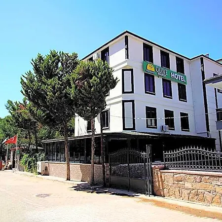 Отель Olive Branch 3*